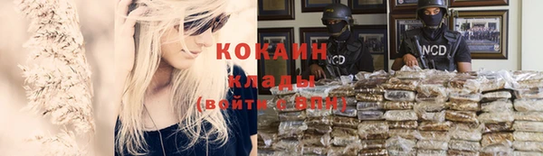 мяу мяу кристалл Бородино