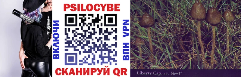 Псилоцибиновые грибы Psilocybine cubensis  купить наркоту  Горячеводский 
